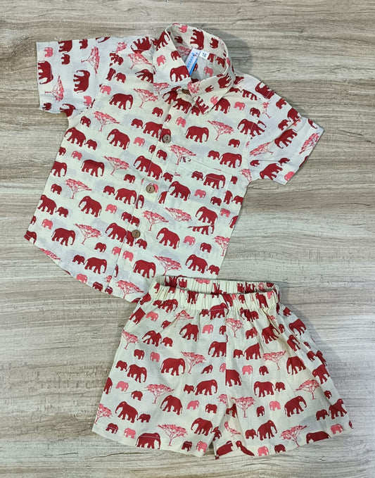Boy's Ethnic Maroon Elephant Print Co-Ord Set